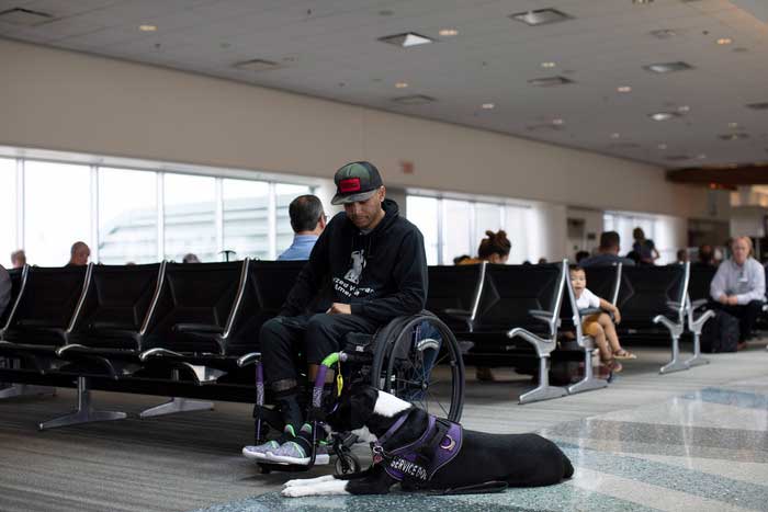 PVA statement on U.S. Department of Transportation’s notice of proposed rulemaking for air travelers with service animals