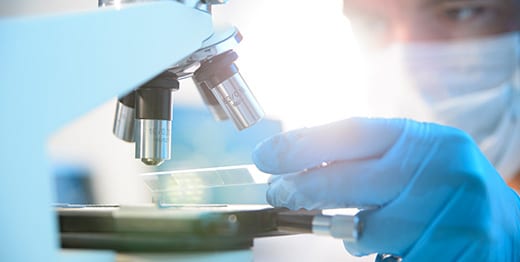 Spinal Cord Research