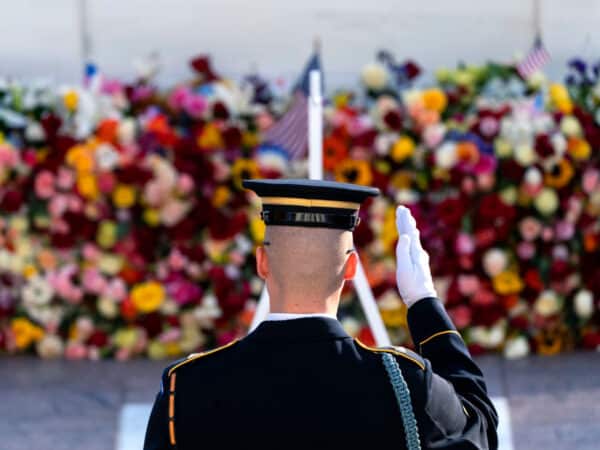 <h3>November 2024 Newsletter</h3>