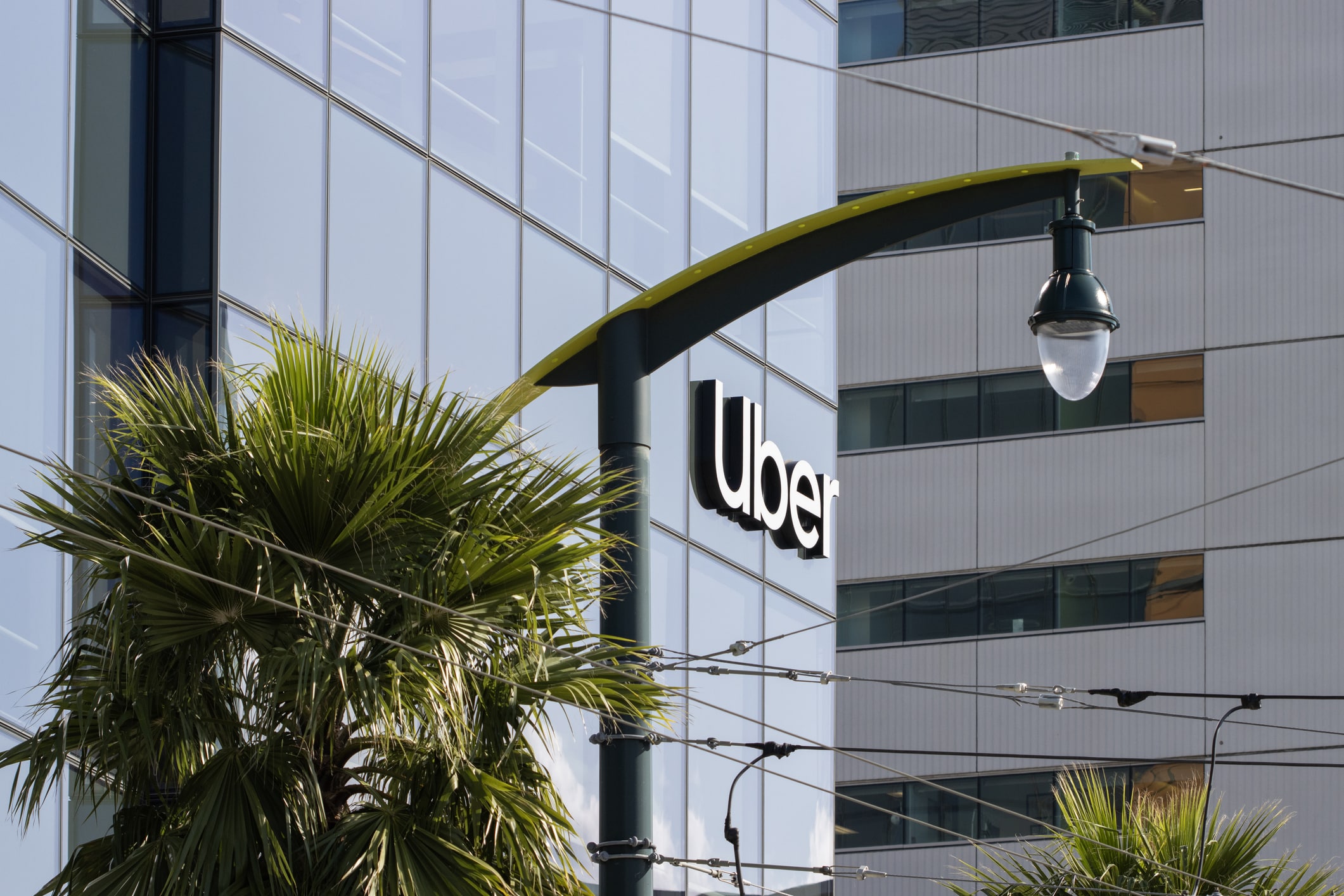A streetlamp and palm tree in front of a modern glass building with the Uber logo visible on the facade.