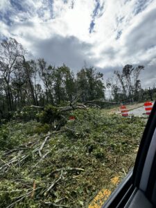 Downed trees and branches cover the ground near a road, with orange and white construction barrels on the right. Cloudy sky and forested area in the background, as seen from a car window.