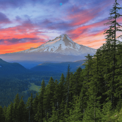 Snow-capped mountain under a colorful sky at sunrise or sunset, with green pine trees and forest in the foreground. Tall trees frame the right side of the image.